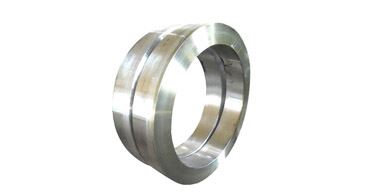 Duplex Steel Rings Exporters Manufacturers Suppliers Dealers in Mumbai India