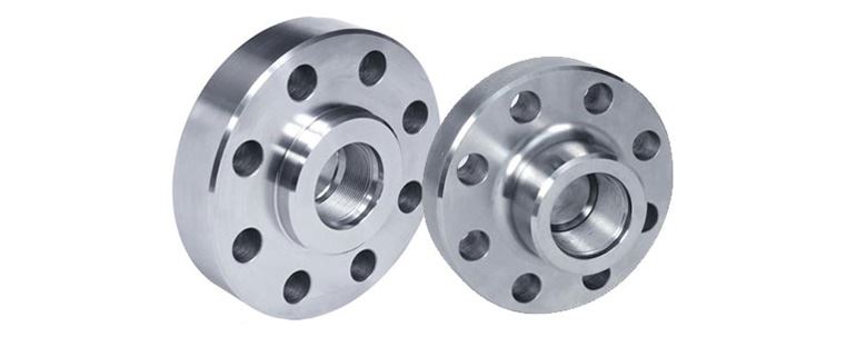 Stainless Steel Companion Flanges Manufacturers Exporters in Mumbai India